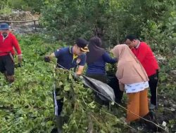 Camat Timur Andi Iqbal Walinono Berkolaborasi KPA Arpal melaksanakan Pembersihan 1.000 Karung Sampah