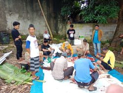 Masjid Songko Recca Bone Kurban 4 Ekor Sapi di Idul Adha 1446 H