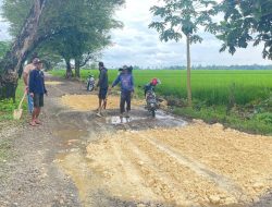 Inisiatif Warga Cellu Perbaiki Jalan, Camat Timur Andi Iqbal Apresiasi Warganya