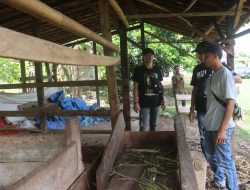 Tim Tekab Polres Lampung Selatan Patroli dan Kejar Kejaran dengan Pelaku Pencurian Ternak