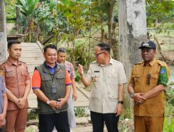 Instruksi Bupati, Andi Akmal Tinjau Jembatan Ambruk Di Palakka