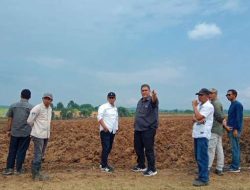MKSO Kebun Bone Bangkit Menuju Kejayaan, dibawah Pimpinan GM Junianto