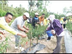 Car Free Day,Senam dan Panen Perdana di Kebun Dinas Kesehatan Bombana