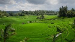 Lampaui Target, LP2B Capai 87,63 Persen Peringatan 66 Tahun UUPA ATR/BPN