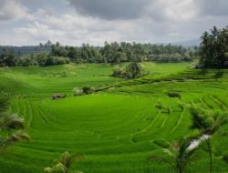 Lampaui Target, LP2B Capai 87,63 Persen Peringatan 66 Tahun UUPA ATR/BPN